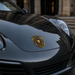 Elite Goldline Emblem for Porsche Vehicles by EliteAuto3K
