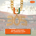 A gold chain necklace with a large '305' pendant and a 'U' charm, both encrusted with rhinestones in orange and green, set against a blurred Miami Hurricanes football stadium background. An orange banner at the bottom reads 'MIAMI HURRICANES 305 TURNOVER CHAIN' with the EliteAuto website.