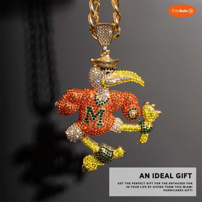 A detailed Miami Hurricanes mascot pendant necklace on a gold chain, featuring a bird character in an orange jersey with green and yellow accents, covered in rhinestones. The background is dark gray with a soft shadow, and a promotional text box is in the bottom right corner.