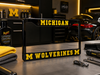 Michigan Wolverines License Plate Frame – Black UM Car Tag Cover