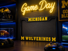 Michigan Wolverines License Plate Frame – Black UM Car Tag Cover