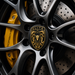Porsche Black & Gold Hood Emblem