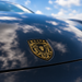Porsche Black & Gold Hood Emblem
