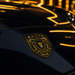 Porsche Black & Gold Hood Emblem