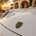 Porsche Black & Gold Hood Emblem