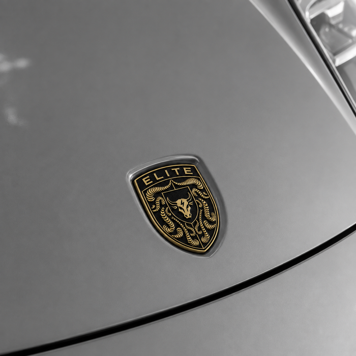 Porsche Black & Gold Hood Emblem