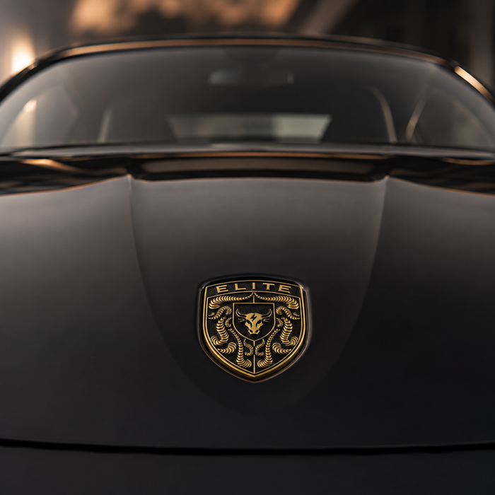 Porsche Black & Gold Hood Emblem