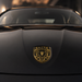 Porsche Black & Gold Hood Emblem