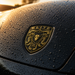 Porsche Black & Gold Hood Emblem