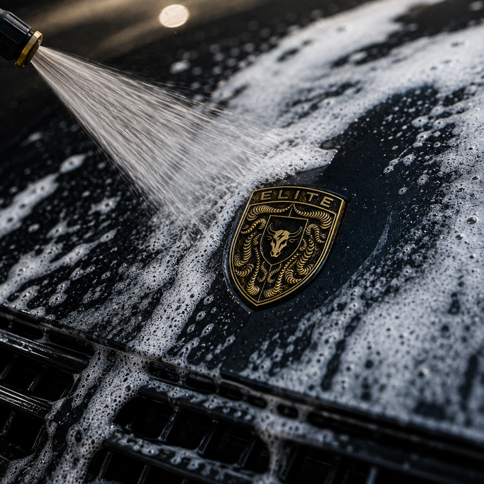 Porsche Black & Gold Hood Emblem