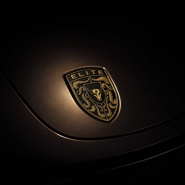 Porsche Black & Gold Hood Emblem