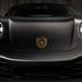 Porsche Black & Gold Hood Emblem