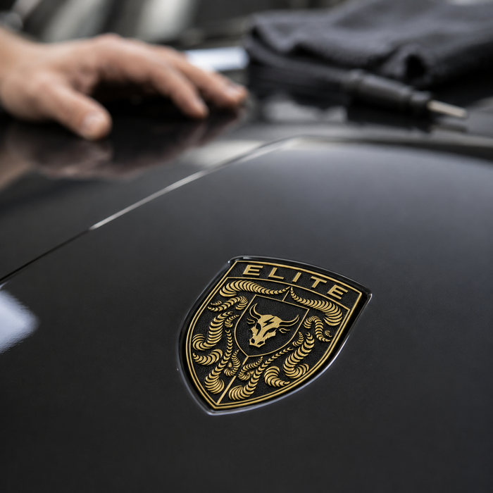 Porsche Black & Gold Hood Emblem