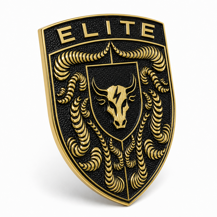 Porsche Black & Gold Hood Emblem