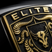 Porsche Black & Gold Hood Emblem