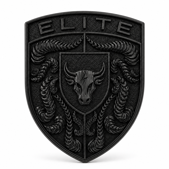 Porsche Black Hood Emblem