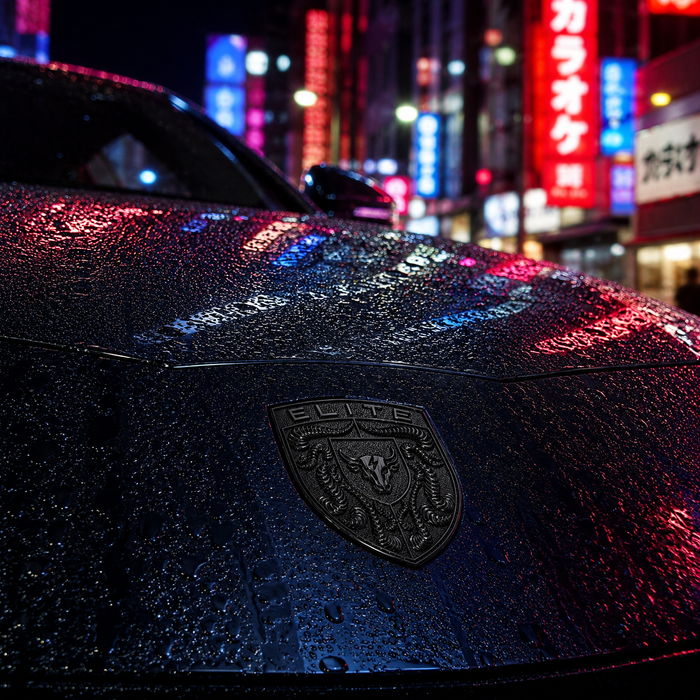Porsche Black Hood Emblem