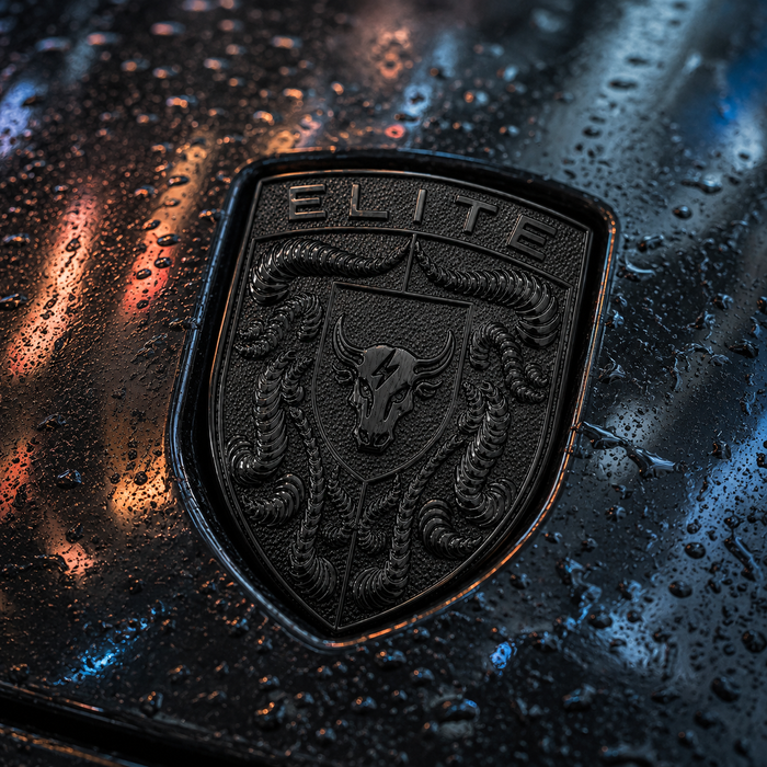 Porsche Black Hood Emblem