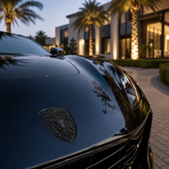 Porsche Black Hood Emblem