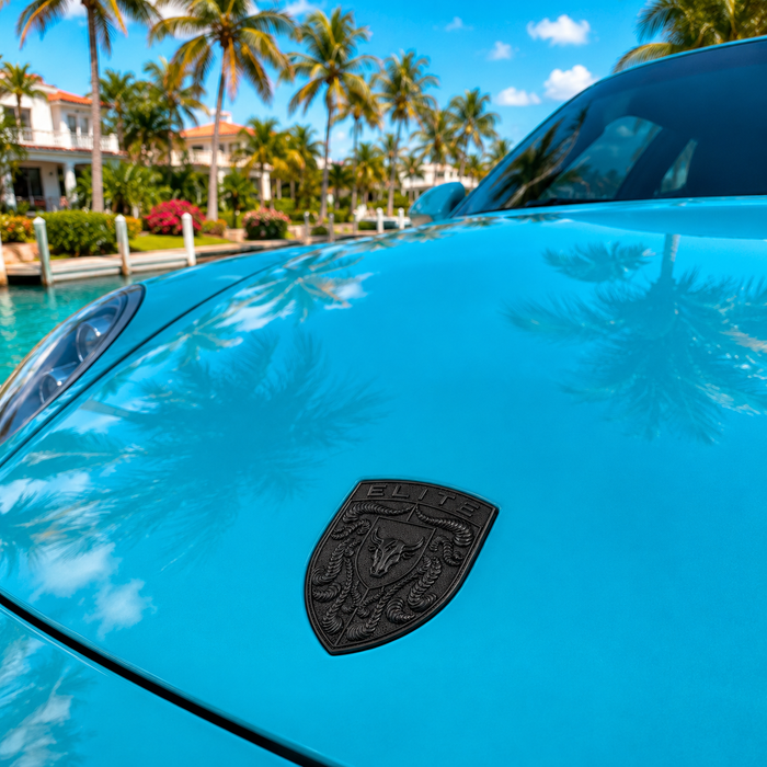 Porsche Black Hood Emblem