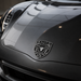 Porsche Black & Silver Hood Emblem