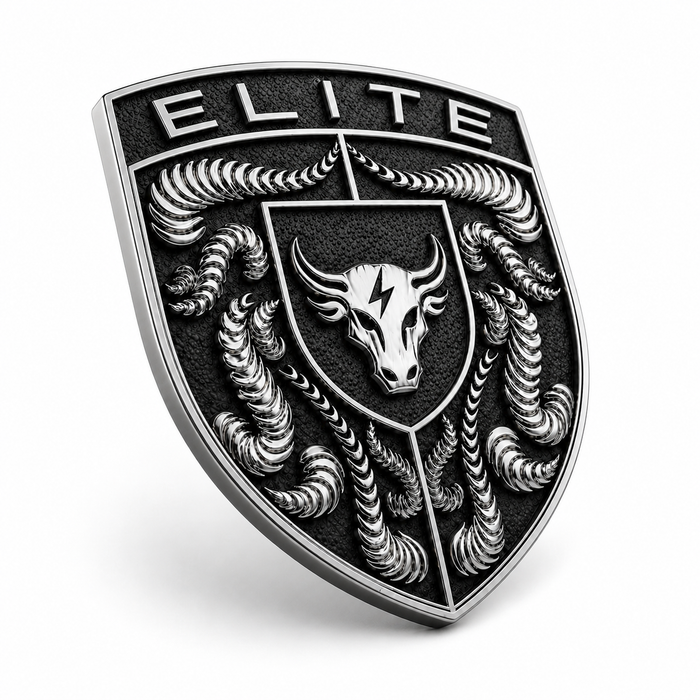 Porsche Black & Silver Hood Emblem