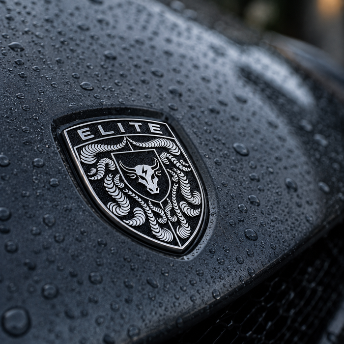 Porsche Black & White Hood Emblem