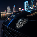 Porsche Black & White Hood Emblem