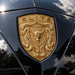 A close-up of a metallic gold porsche emblem with a bull head and the word "ELITE" at the top, mounted on a glossy black porsche surface with reflections of sky and trees.