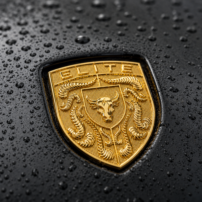 Porsche Gold Hood Emblem