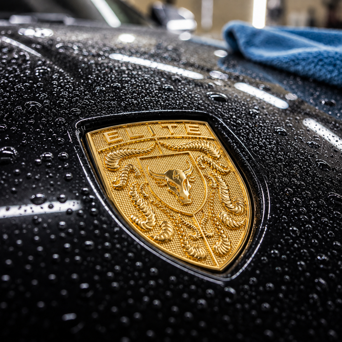 Porsche Gold Hood Emblem