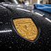Porsche Gold Hood Emblem