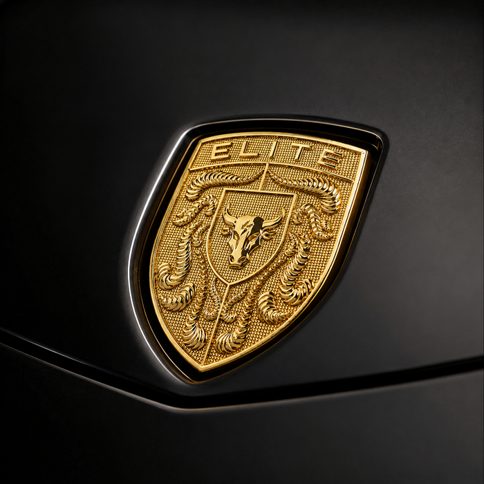 Porsche Gold Hood Emblem