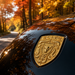 Porsche Gold Hood Emblem