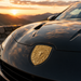 Porsche Gold Hood Emblem