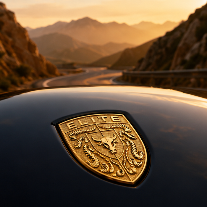 Porsche Gold Hood Emblem