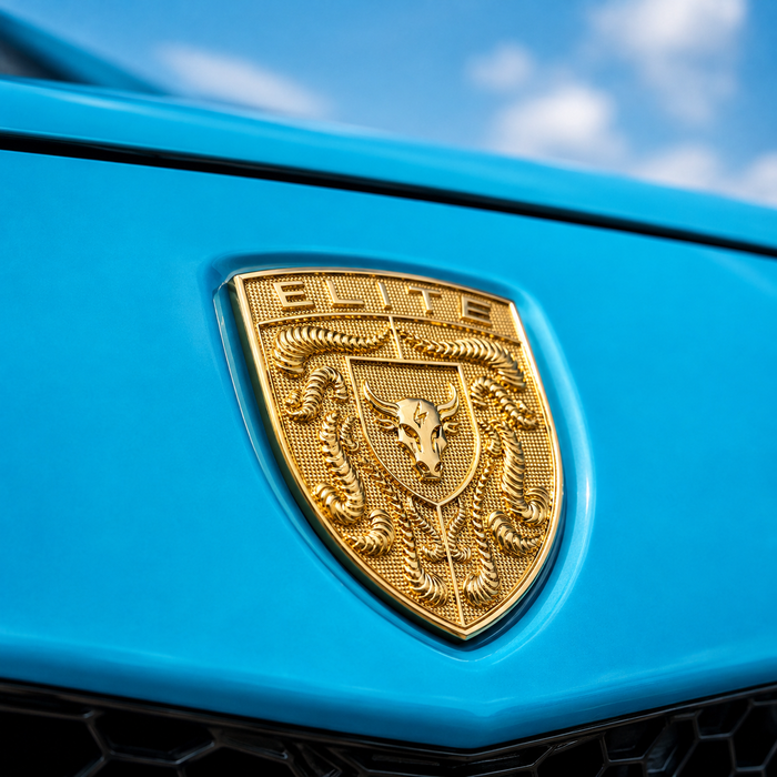 Porsche Gold Hood Emblem