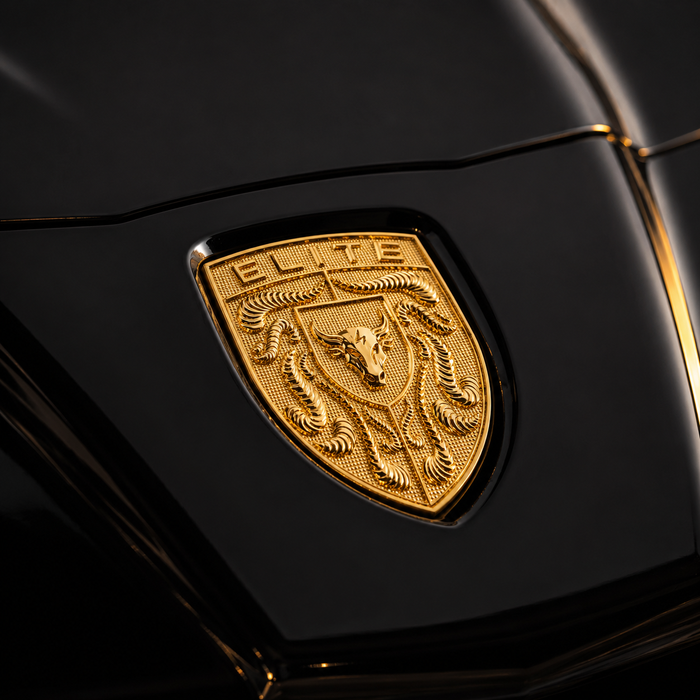 Porsche Gold Hood Emblem