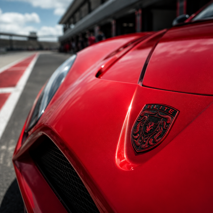 Porsche Guards Red Hood Emblem