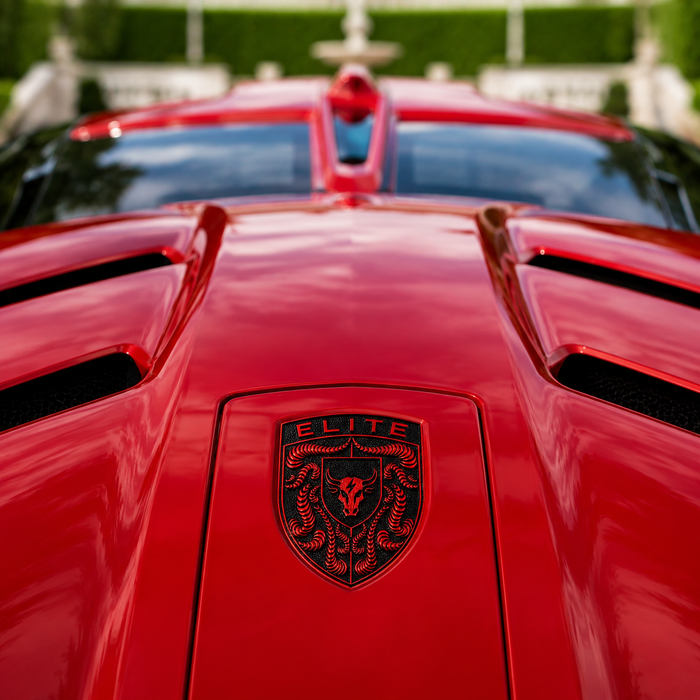 Porsche Guards Red Hood Emblem