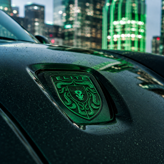 Porsche Irish Green Hood Emblem