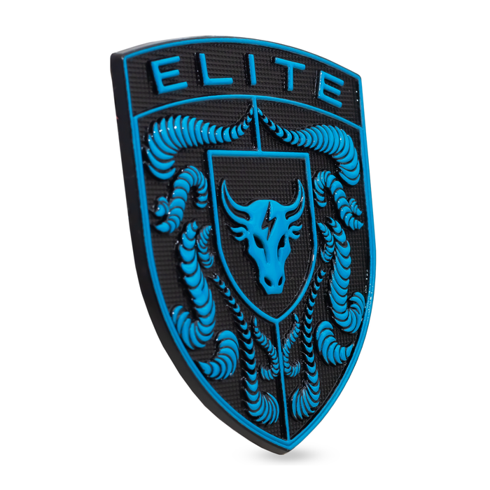 Porsche Hood Emblem in Mexico Blue with a Brahma Bull center logo 