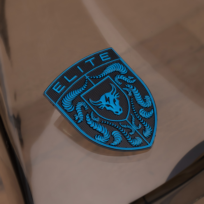 Porsche Hood Emblem in Mexico Blue with a Brahma Bull center logo 