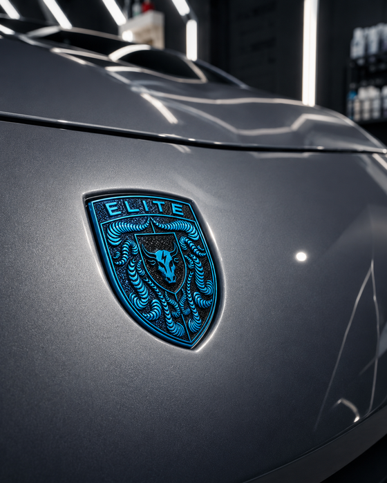 Porsche Mexico Blue Hood Emblem