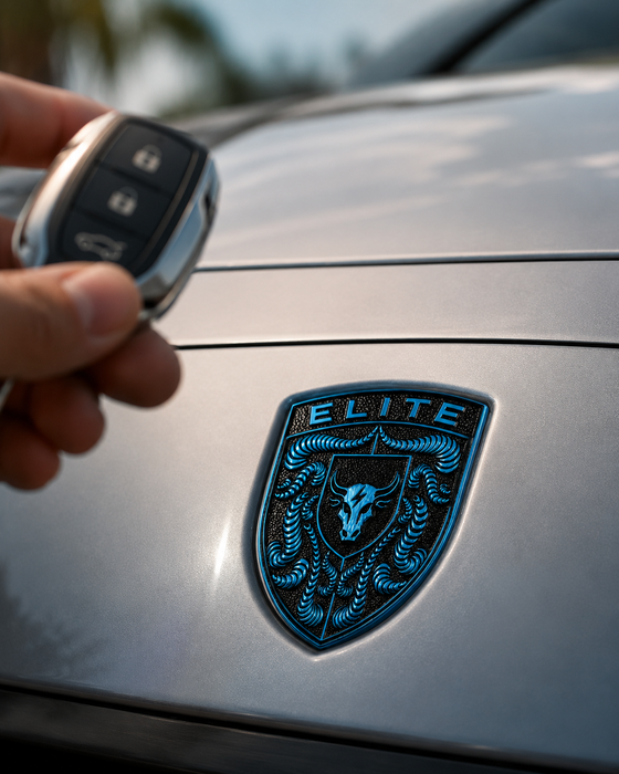 Porsche Mexico Blue Hood Emblem
