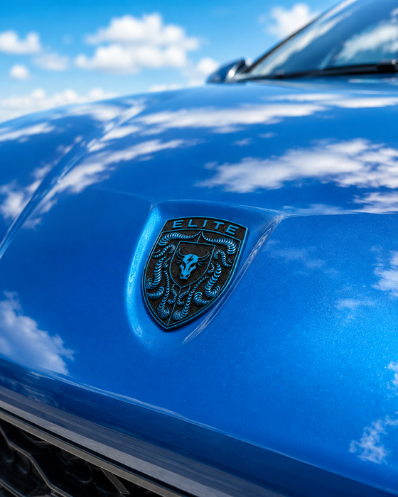 Porsche Mexico Blue Hood Emblem