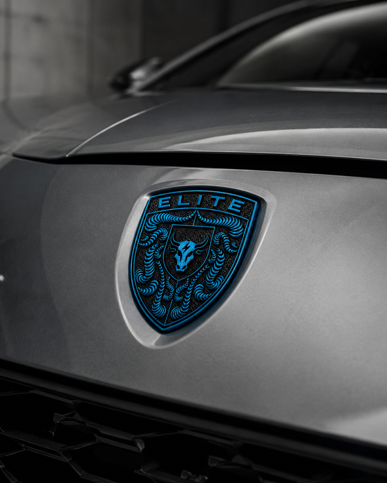 Porsche Mexico Blue Hood Emblem
