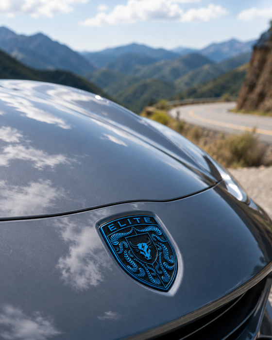 Porsche Mexico Blue Hood Emblem