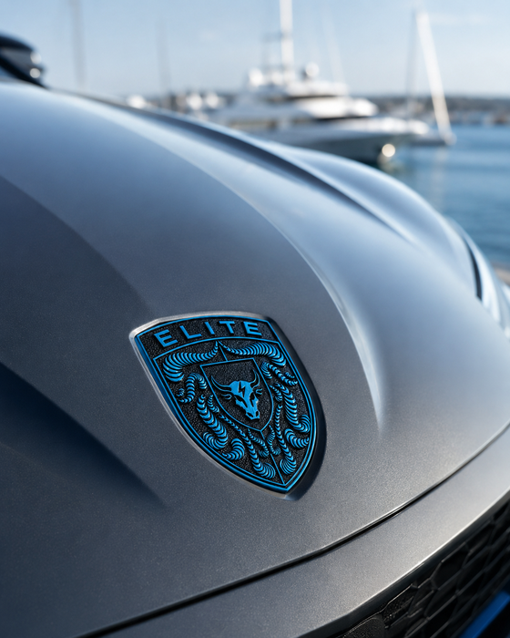 Porsche Mexico Blue Hood Emblem
