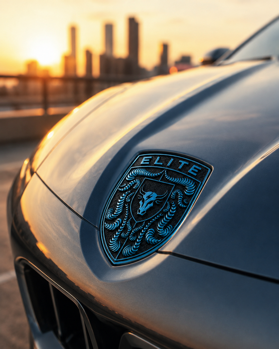 Porsche Mexico Blue Hood Emblem